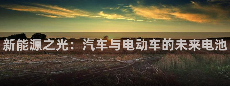 优发国际官方网手机版下载安卓：新能源之光：汽车与电动车的未来电池