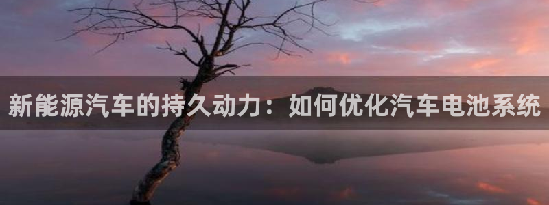 优发国际手机登录下载安装：新能源汽车的持久动力：如何优化汽车电池系统