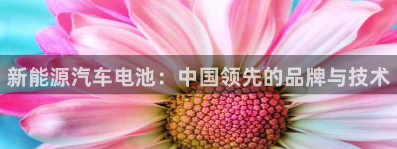 优发国际手机客户端：新能源汽车电池：中国领先的品牌与技术