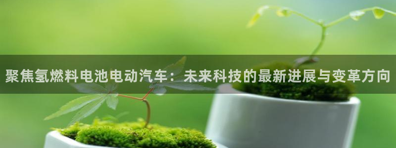 优发国际VIP网址：聚焦氢燃料电池电动汽车：未来科技的最新进展与变革方向