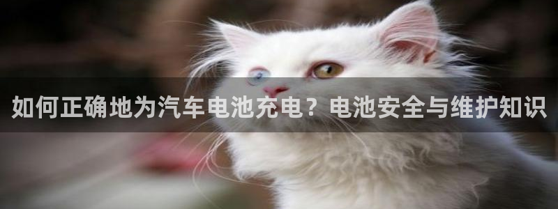 优发国际手机安装登录失败