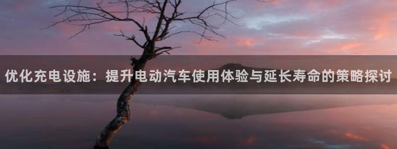 优发国际平台app下载苹果版：优化充电设