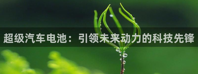 优发国际登录首页官网：超级汽车电池：引领未来动力的科技先锋