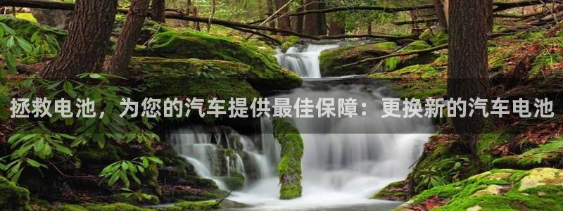 优发国际平台g8