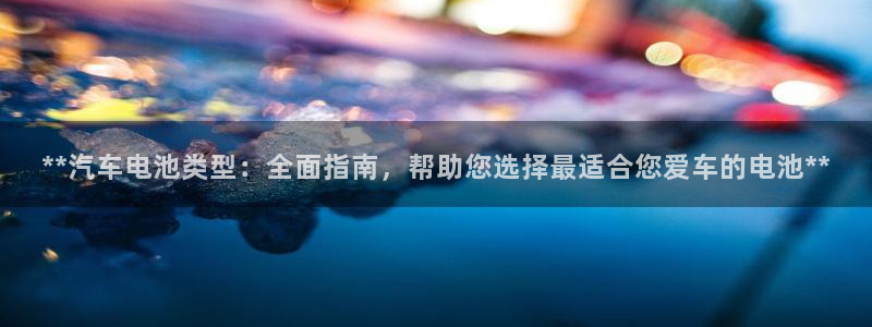 优发国际VIP网址：**汽车电池类型：全