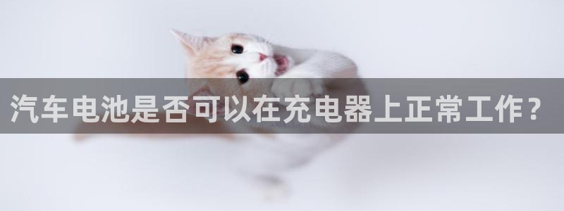 优发国际手机版客户端官网：汽车电池是否可以在充电器上正常工作？