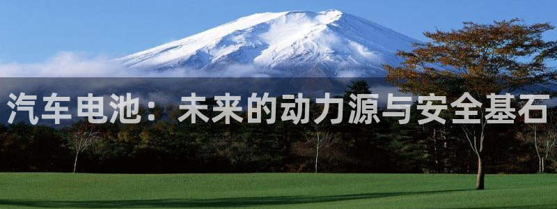 优发国际手机登录下载安装官网：汽车电池：未来的动力源与安全基石