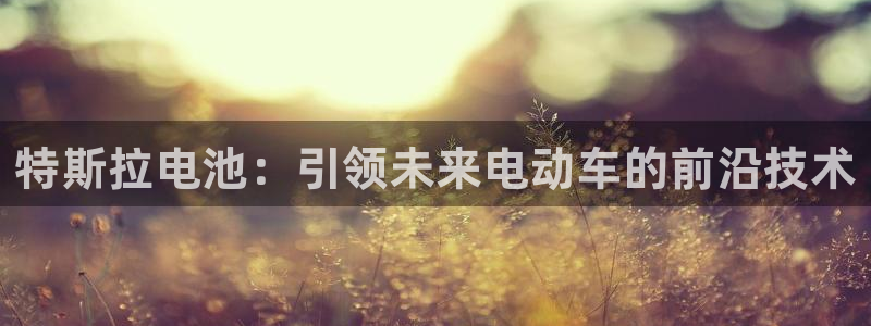 优发国际手机客户端怎么下载