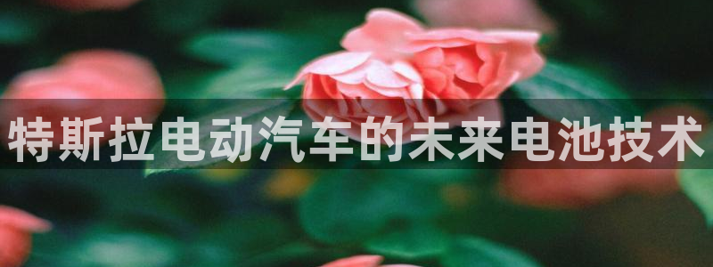 优发国际官网下载安装