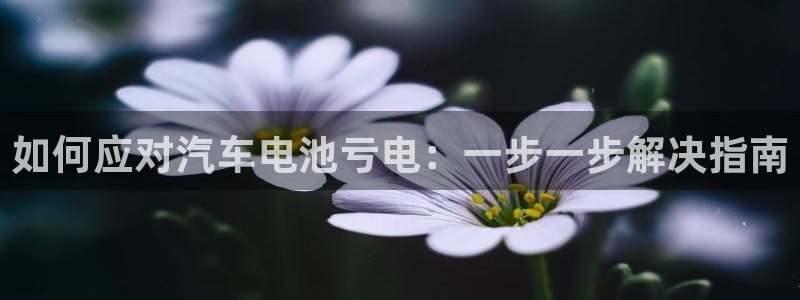 优发国际官网下载安装手机版