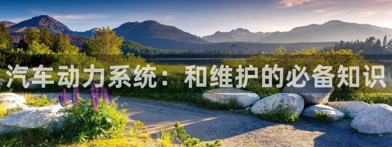 优发娱乐官网地址