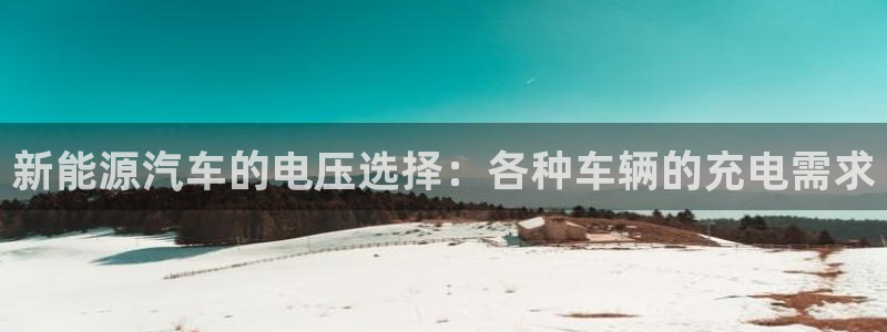 优发国际客服联系方式电话：新能源汽车的电压选择：各种车辆的充电需求