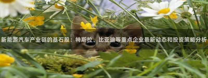 优发国际客服联系方式查询